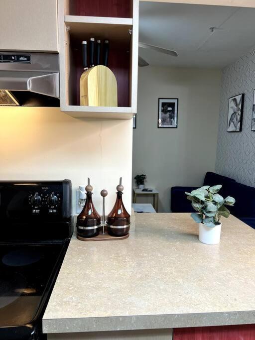 Midtown Flat Near Overton Park & Downtown Мемфіс Екстер'єр фото
